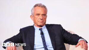 US government report cited non-existent sources, academics say