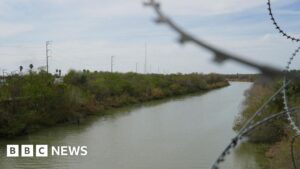 Five musicians murdered in suspected Mexican cartel killing