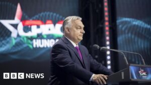 Europe’s US-backed conservatives hope this is their moment to go mainstream