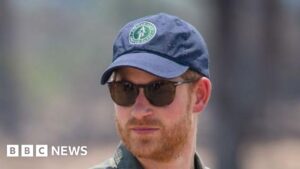Charity linked to Prince Harry admits human rights abuses in Congo-Brazzaville