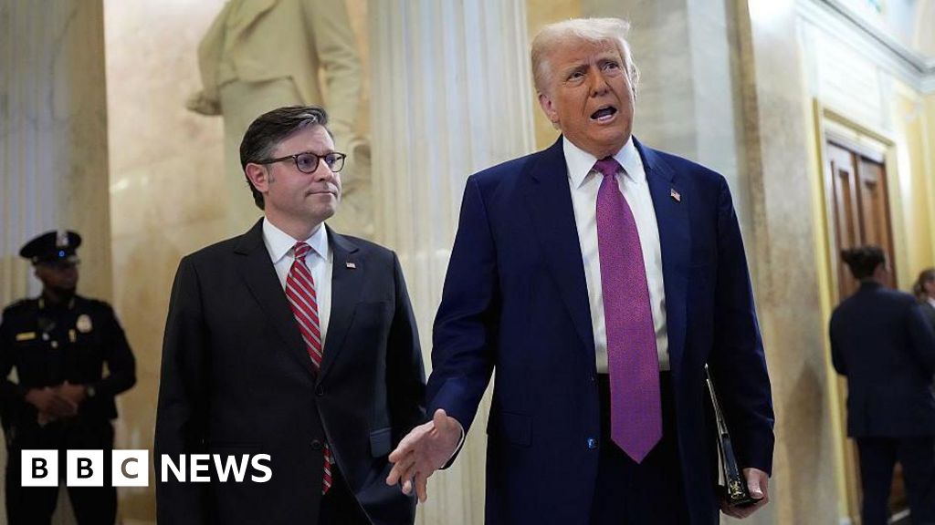 US House passes Trump’s ‘big, beautiful’ tax and spending bill