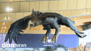 New Zealand airport to remove Hobbit-themed eagle sculptures