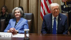 FBI to probe effort to impersonate top Trump advisor