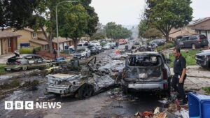 ‘Multiple fatalities’ after plane crash in San Diego neighbourhood