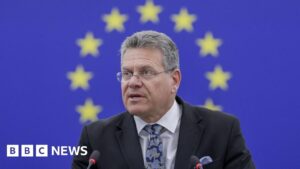 EU calls for US trade deal based on ‘respect’ after Trump’s tariff threats
