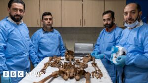 The medics identifying remains from Syria’s mass graves