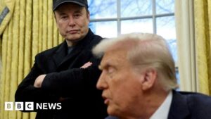 Elon Musk ‘disappointed’ by Donald Trump’s ‘big, beautiful’ tax bill