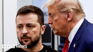 Ukraine: What Trump does next is key