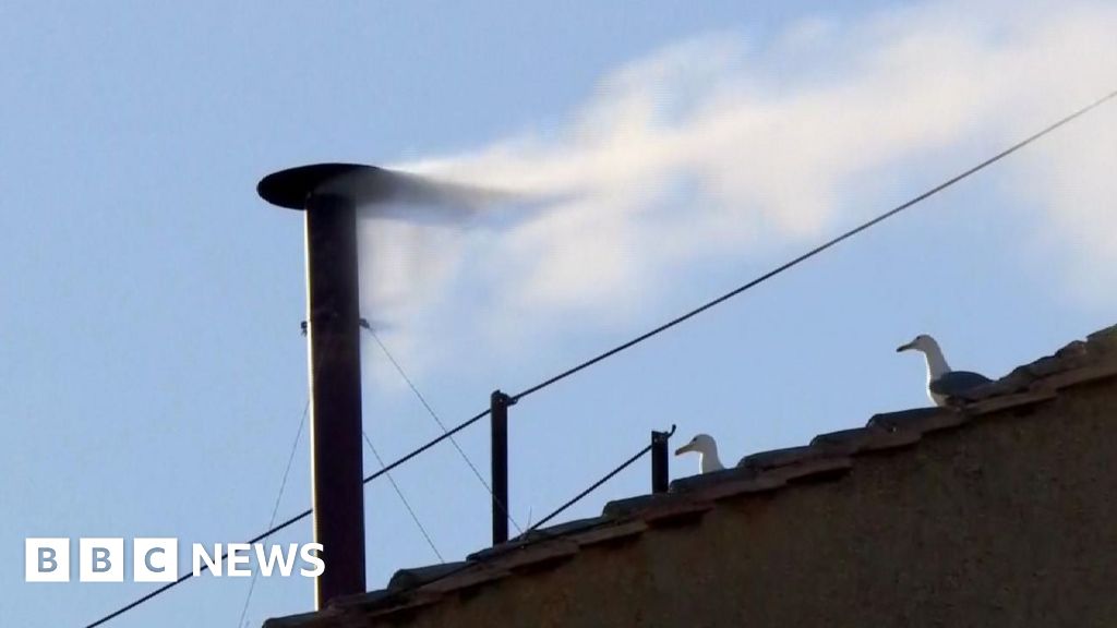 Watch: Moment white smoke billows, signalling a new pope's election