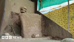 Ancient Indian skeleton still waits for permanent address