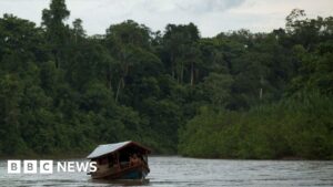 Amazon tribe sues New York Times over story it says led to porn addict claims