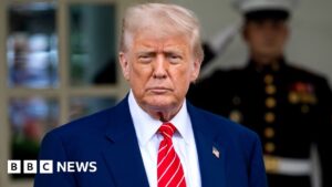 Trump administration considering suspending habeas corpus