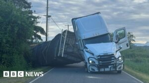 250 million honeybees escape overturned truck in US