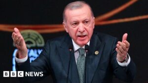 Erdogan denies bid to change Turkey’s constitution means he’ll run for presidency again