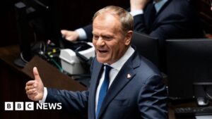 Polish PM Donald Tusk wins confidence vote