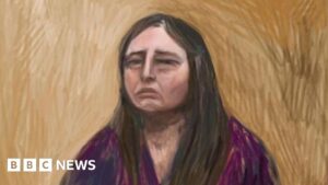Erin Patterson says she made herself sick after meal