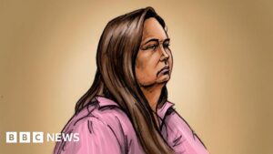 Erin Patterson tells murder trial wild mushrooms have ‘more flavour’