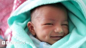 World fertility rates in ‘unprecedented decline’, UN says