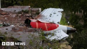 Who were the victims of the Air India plane crash?