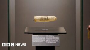 200-year-old condom displayed in Amsterdam museum